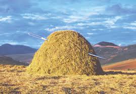 Needle haystack