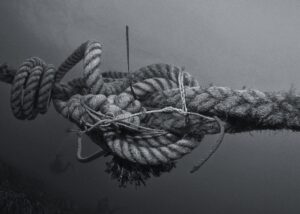 pascal-van-de-vendel-RqjNWnQbWGU-unsplash